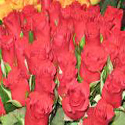 Магазин цветов «Тюльпан»